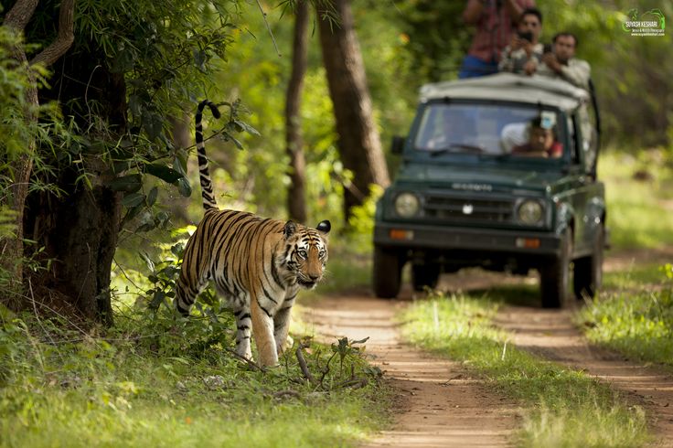 UTTARAKHAND